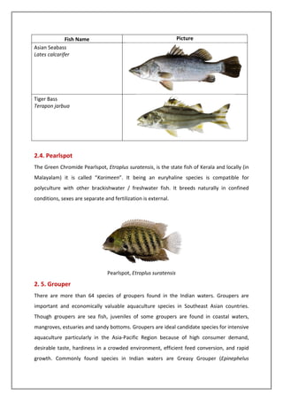 Indian Freshwater Fishes