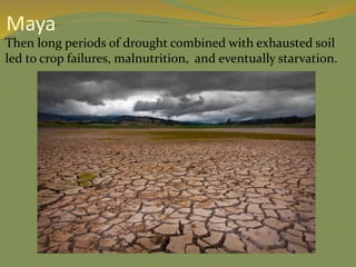  Then long periods of drought combined with exhausted soil
led to crop failures, malnutrition, and eventually starvation.
Maya
 