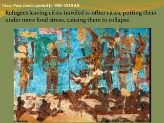  Refugees leaving cities traveled to other cities, putting them
under more food stress, causing them to collapse.
Maya Post classic period (c. 950–1539 AD
 