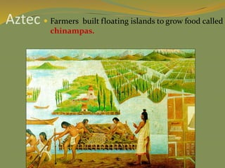 Aztec  Farmers built floating islands to grow food called
chinampas.
 