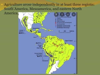  Agriculture arose independently in at least three regions:
South America, Mesoamerica, and eastern North
America.
 