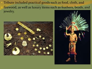  Tribute included practical goods such as food, cloth, and
 firewood, as well as luxury items such as feathers, beads, and
jewelry.
 