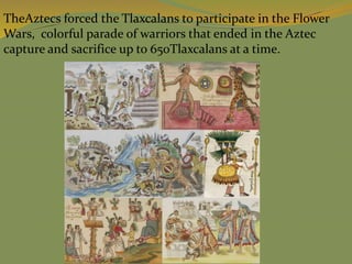 TheAztecs forced the Tlaxcalans to participate in the Flower
Wars, colorful parade of warriors that ended in the Aztec
capture and sacrifice up to 650Tlaxcalans at a time.
 