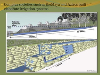  Complex societies such as theMaya and Aztecs built
elaborate irrigation systems
 