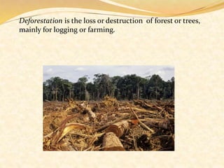 Deforestation is the loss or destruction of forest or trees,
mainly for logging or farming.
 