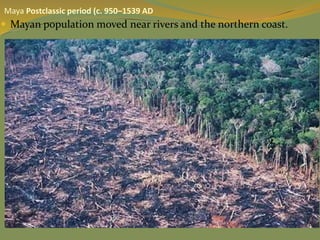  Mayan population moved near rivers and the northern coast.
Maya Postclassic period (c. 950–1539 AD
 