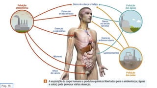 Pág. 18
 