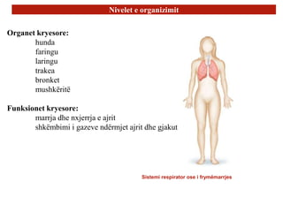 1. hyrje në anatomi dhe fiziologji.ppt