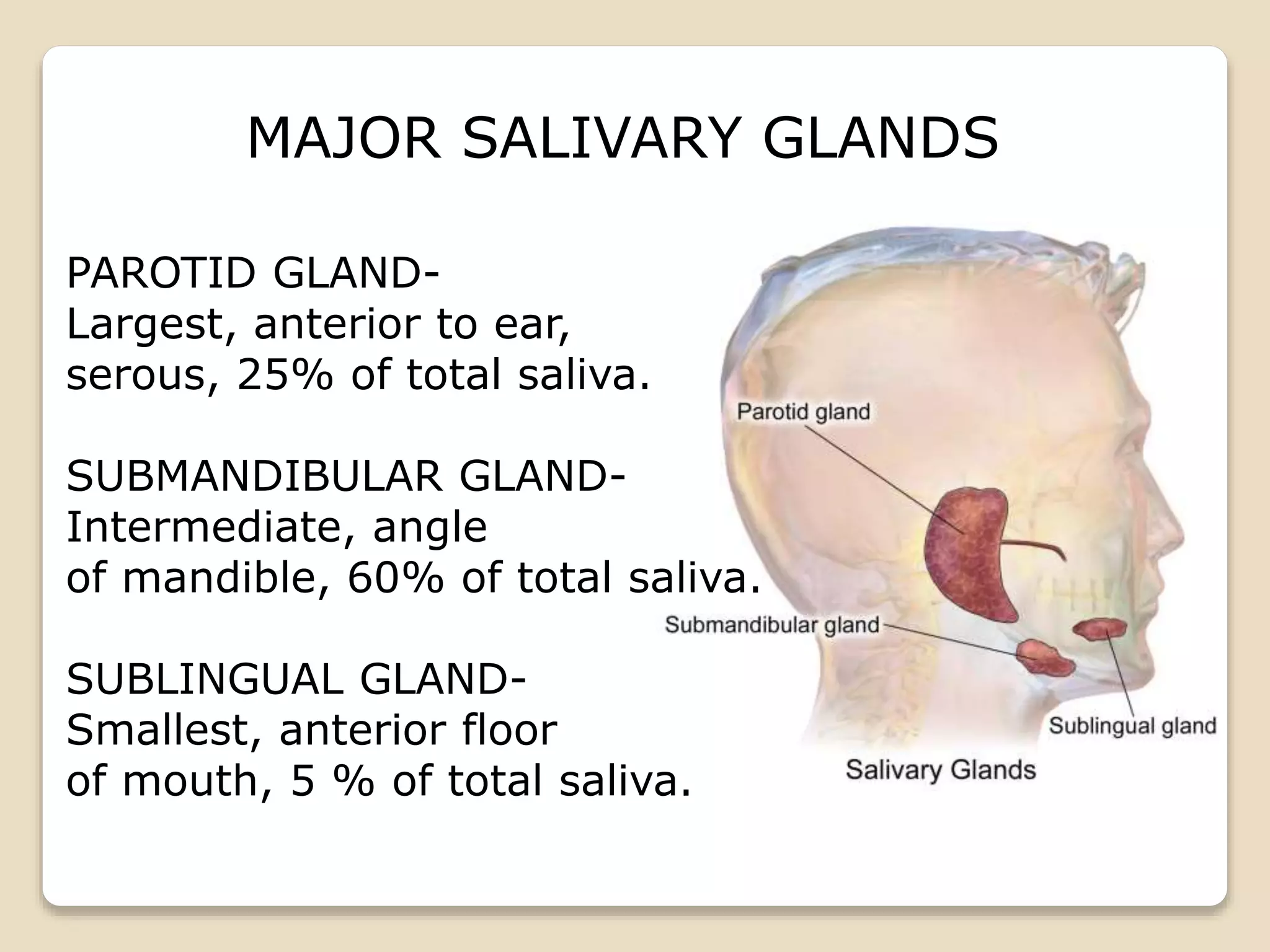 Saliva Types 1.MAJOR SALIVARY GLANDS.pptx