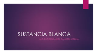 SUSTANCIA BLANCA
M.C. CATHERINE ALEXIA GALLEGOS LAGUNA
 