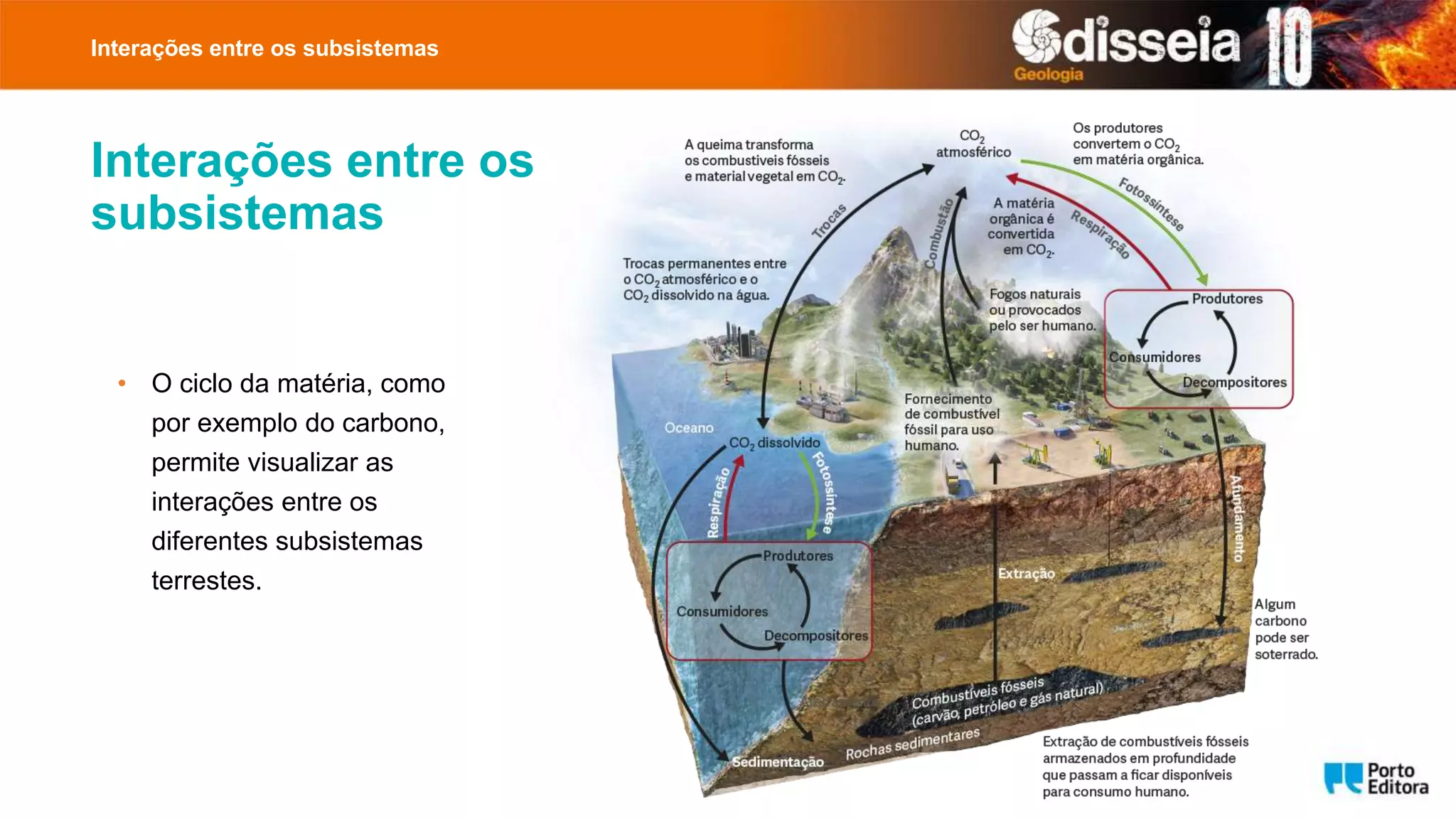 1 Intera es Entre Os Subsistemas pptx