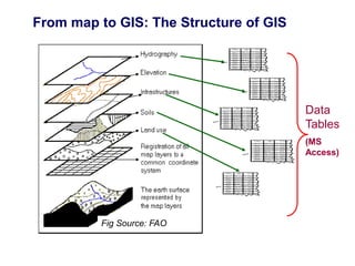 From map to GIS: The Structure of GIS
Fig Source: FAO
Data
Tables
(MS
Access)
 
