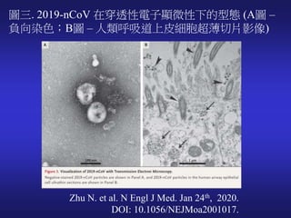 圖三. 2019-nCoV 在穿透性電子顯微性下的型態 (A圖 –
負向染色；B圖 – 人類呼吸道上皮細胞超薄切片影像)
Zhu N. et al. N Engl J Med. Jan 24th, 2020.
DOI: 10.1056/NEJM...