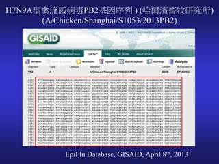 H7N9A型禽流感病毒PB2基因序列 ) (哈爾濱畜牧研究所)
(A/Chicken/Shanghai/S1053/2013PB2)
EpiFlu Database, GISAID, April 8th, 2013
 