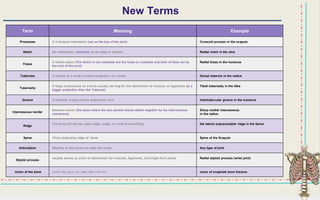 1 Bones of The Upper Limbs pdf Death Injury or Military Conflict 1 Bones of The Upper Limbs pdf Death Injury or Military Conflict