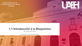 1.1 Introducción a la Bioquímica
Bioquímica del Cuerpo Humano
B1: Introducción a la Bioquímica y Carbohidratos
 