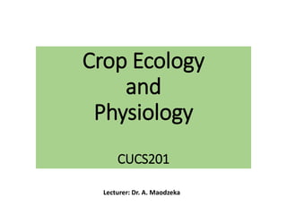 Crop Ecology
and
Physiology
CUCS201
Lecturer: Dr. A. Maodzeka
 