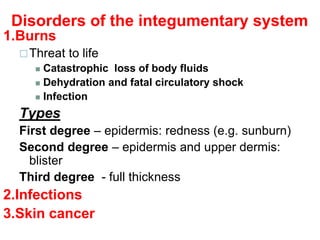 Disorders of the integumentary system
1.Burns
Threat to life
 Catastrophic loss of body fluids
 Dehydration and fatal circulatory shock
 Infection
Types
First degree – epidermis: redness (e.g. sunburn)
Second degree – epidermis and upper dermis:
blister
Third degree - full thickness
2.Infections
3.Skin cancer
 