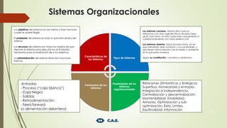 Características de
los Sistemas
Tipos de Sistemas
Propiedades de los
sistemas
organizacionales
Parámetros de los
sistemas
11
Los sistemas cerrados, sistema físico que no
interactúa con otros agentes físicos situados fuera
de él y por tanto no está conectado casualmente ni
correlacionalmente con nada externo a él
Los sistemas abiertos, todas las estructuras, en las
que intervienen seres humanos o sus sociedades, y
que tienen íntima relación con el medio o ambiente
en el que están inmersos.
Según su constitución: concretos y abstractos.
Relaciones (Simbióticas y Sinérgica),
Superflua, Homeostasis y entropía,
Integración e independencia,
Centralización y descentralización,
Mantenibilidad, Estabilidad,
Armonía, Optimización y sub-
optimización, Éxito, Limites,
Equifinalidad, Información
-Entradas
- Proceso (“caja blanca”)
- Caja Negra
- Salidas
- Retroalimentación
- Feed forward
(o alimentación delantera)
Los objetivos del sistema son las metas o fines hacia los
cuales se quiere llegar.
El ambiente del sistema es todo lo que está afuera del
sistema.
Los recursos del sistema son todos los medios de que
dispone el sistema para ejecutar las actividades.
necesarias para la realización de o los objetivos
La administración del sistema tiene dos funciones
básicas.
Sistemas Organizacionales
 