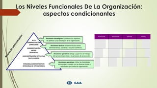 Los Niveles Funcionales De La Organización:
aspectos condicionantes
ALTA
ADMINISTRACIÓN
(DIRECCIÓN)
ADMINISTRACIÓN
MEDIA
(GERENCIA)
ADMINISTRACIÓN OPERATIVA
(SUPERVISIÓN)
PERSONAL ADMINISTRATIVO
(PERSONAL DE OPERACIONES)
Decisiones estratégicas: Establecer los objetivos,
las políticas y las estrategias de la organización.
Decisiones tácticas: Implementa las tareas
administrativas, coordina y resuelve conflictos.
Decisiones operativas: Dirige y supervisa el trabajo
del personal operativo y los procesos de producción.
Decisiones operativas: Utiliza las habilidades
técnicas para cumplir con las diversas tareas y
actividades que realiza la organización.
PLANIFICACIÓN ORGANIZACIÓN DIRECCIÓN CONTROL
 