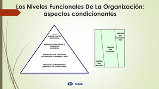 ALTA
ADMINISTRACIÓN
(DIRECCIÓN)
ADMINISTRACIÓN MEDIA O
INTERMEDIA
(GERENCIA)
ADMINISTRACIÓN OPERATIVA
(SUPERVISIÓN DE PRIMERA LÍNEA)
PERSONAL ADMINISTRATIVO
(PERSONAL DE OPERACIONES)
Habilida
des
técnicas
Habilida
des
humanas
Habilida
des
conceptu
ales
Los Niveles Funcionales De La Organización:
aspectos condicionantes
 