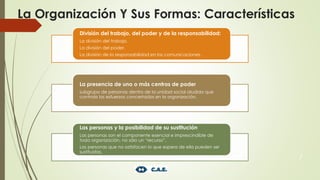 La Organización Y Sus Formas: Características
7
División del trabajo, del poder y de la responsabilidad:
La división del trabajo.
La división del poder.
La división de la responsabilidad en las comunicaciones.
La presencia de uno o más centros de poder
subgrupo de personas dentro de la unidad social aludida que
controla los esfuerzos concertados en la organización.
Las personas y la posibilidad de su sustitución
Las personas son el componente esencial e imprescindible de
toda organización, no sólo un “recurso”.
Las personas que no satisfacen lo que espera de ella pueden ser
sustituidas.
 