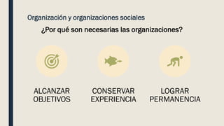 Organización y organizaciones sociales
ALCANZAR
OBJETIVOS
CONSERVAR
EXPERIENCIA
LOGRAR
PERMANENCIA
¿Por qué son necesarias las organizaciones?
 