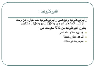 ‫النيوكليوتيد‬
:
‫عباره‬ ‫هما‬ ‫رايبونيوكليوتيد‬ ‫وديؤكسي‬ ‫رايبونيوكليوتيد‬
‫وحدة‬ ‫عن‬
‫النووي‬ ‫الحامض‬ ‫تركيب‬
, RNA a...