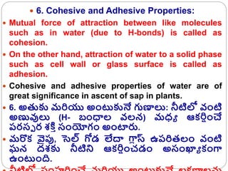  Importance of Water to Plant Life:
 Life is unconceivable without water and plants are
no exceptions. Water constitutes...