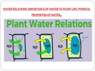 WATER RELATIONS: IMPORTANCE OF WATER TO PLANTLIFE, PHYSICAL
PROPERTIES OF WATER,
 