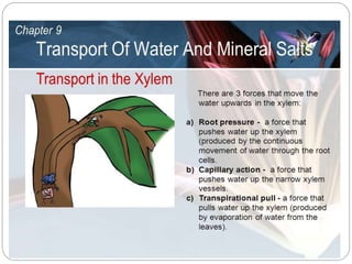 1. Water relation.ppt