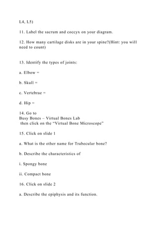 L4, L5)
11. Label the sacrum and coccyx on your diagram.
12. How many cartilage disks are in your spine?(Hint: you will
ne...