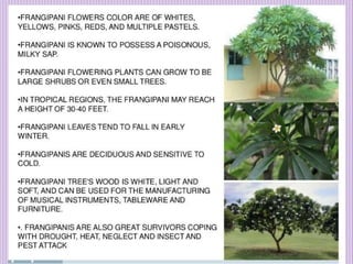 1. Avenue Trees.pptx