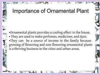 1. Avenue Trees.pptx