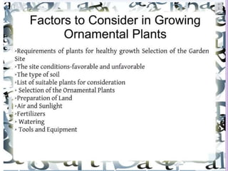 1. Avenue Trees.pptx