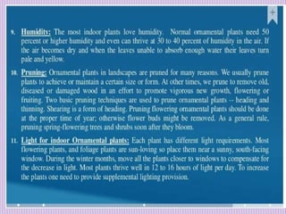 1. Avenue Trees.pptx