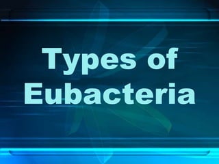 Eubacteria
Shapes
 