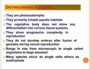 DISTINGUISHING FEATURES:
 They are photoautotrophs
 They primarily inhabit aquatic habitats
 The vegetative body does n...