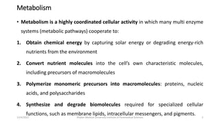 Metabolism and Redox coenzymes (1).pptx
