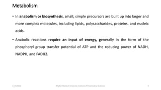 Metabolism and Redox coenzymes (1).pptx