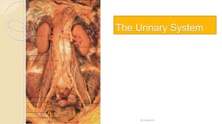 The Urinary System
By Abera N
 