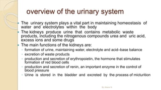 overview of the urinary system
 The urinary system plays a vital part in maintaining homeostasis of
water and electrolytes within the body
 The kidneys produce urine that contains metabolic waste
products, including the nitrogenous compounds urea and uric acid,
excess ions and some drugs
 The main functions of the kidneys are:
◦ formation of urine, maintaining water, electrolyte and acid–base balance
◦ excretion of waste products
◦ production and secretion of erythropoietin, the hormone that stimulates
formation of red blood cells
◦ production and secretion of renin, an important enzyme in the control of
blood pressure
◦ Urine is stored in the bladder and excreted by the process of micturition
By Abera N
 