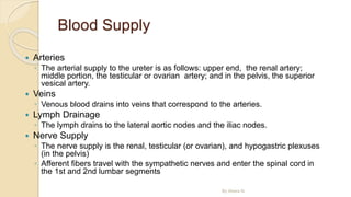 Blood Supply
 Arteries
◦ The arterial supply to the ureter is as follows: upper end, the renal artery;
middle portion, the testicular or ovarian artery; and in the pelvis, the superior
vesical artery.
 Veins
◦ Venous blood drains into veins that correspond to the arteries.
 Lymph Drainage
◦ The lymph drains to the lateral aortic nodes and the iliac nodes.
 Nerve Supply
◦ The nerve supply is the renal, testicular (or ovarian), and hypogastric plexuses
(in the pelvis)
◦ Afferent fibers travel with the sympathetic nerves and enter the spinal cord in
the 1st and 2nd lumbar segments
By Abera N
 