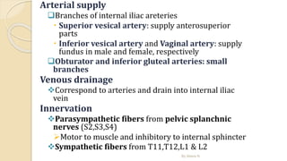 Arterial supply
Branches of internal iliac areteries
 Superior vesical artery: supply anterosuperior
parts
 Inferior vesical artery and Vaginal artery: supply
fundus in male and female, respectively
Obturator and inferior gluteal arteries: small
branches
Venous drainage
Correspond to arteries and drain into internal iliac
vein
Innervation
Parasympathetic fibers from pelvic splanchnic
nerves (S2,S3,S4)
Motor to muscle and inhibitory to internal sphincter
Sympathetic fibers from T11,T12,L1 & L2
By Abera N
 