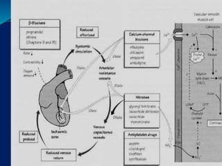 Antianginal drug