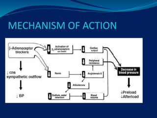 MECHANISM OF ACTION
 