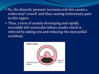  So, the diastolic pressure increases and this causes a
endocrinal ‘crunch’ and thus causing Ischeamatic pain
in this region.
 Thus, a form of acutely developing and rapidly
reversible left ventricular failure results which is
relieved by taking rest and reducing the myocardial
workload.
 