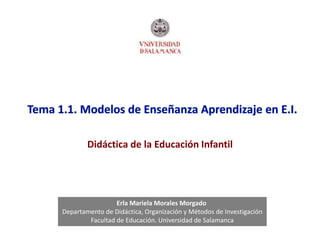Erla Mariela Morales Morgado
Departamento de Didáctica, Organización y Métodos de Investigación
Facultad de Educación. Universidad de Salamanca
Didáctica de la Educación Infantil
 