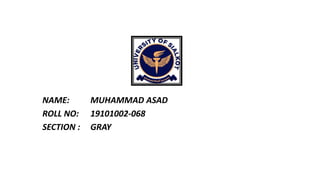 NAME: MUHAMMAD ASAD
ROLL NO: 19101002-068
SECTION : GRAY
 