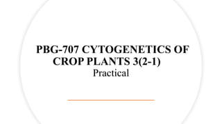 PBG-707 CYTOGENETICS OF
CROP PLANTS 3(2-1)
Practical
 